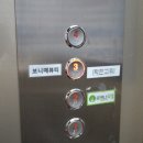 보니떼 이미지