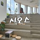 하남대로739번길 | 하남 대형 카페, 아이랑 놀기 좋은 카페 시오스