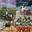 경기도 가평 가볼만한곳 신비동물원, 가평 베고니아 새정원 놀거리 볼거리