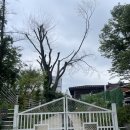 베가스테이 이미지