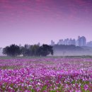 홍재호 농장 이미지