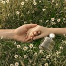 1877 | [ACHIC 1877] 어시크 오차드 페이지 퍼퓸 3종 후기