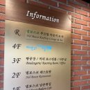 명동 베이커리 추천, 두유베이글에 반한 넬보스코남촌빵집 후기
