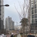 성북-장위-4089 | ★ 경기도 성남 수정구, 중원구 &#39;재개발 및 입지분석&#39; 현장 임장 후기 #2