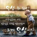 100세 할머니의 충고 이미지