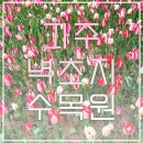 영천고등학교 그린스마트스쿨 조성공사 | [파주 벽초지수목원] 파주 가볼만한곳 정보 후기