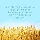 밀 이미지