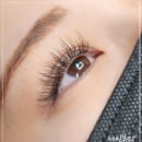 세인자연 이미지