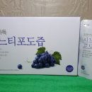 포도시