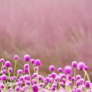 홍은농장 이미지