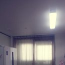 위드커튼