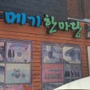 메기한마당 네이버블로그