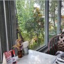 데이드림빌리버 이미지