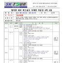 (주)에스케이여행사 이미지