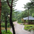 솔향수목원(암석원) 이미지