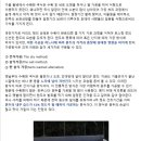 오후의산책 이미지