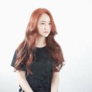 벨브라운 이미지