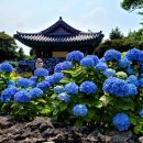 서호동-64 이미지