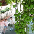 북구보건복지센터 앞 이미지