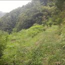 지세못입구 이미지