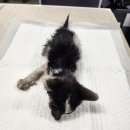 서학주유소 이미지