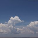 크린넘버원 이미지