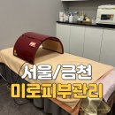 손맛테라피 | 독산동피부관리 추천｜손맛 끝내주는 미로피부관리 스노우테라피 후기
