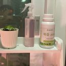 해충박멸ZERO