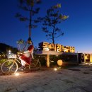 영천한방테마거리 이미지