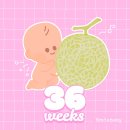 투두온 | 임신일기 (36 ~ 37주) | 출산 전 투두리스트 뿌시기, 첫 내진검사 그리고 D-15