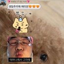 8월 나의 시대.. 내생일.. 나의 달..♥