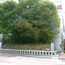 남원 석돈 이미지