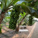 재운농장 이미지