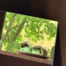 주정차단속-64 | [카페] 타지에서 온 사람들의 픽 (익산 모현동 카페) | 시트러스