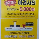 여권사진 5000원^^ 이미지