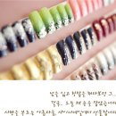 네일 샤이나