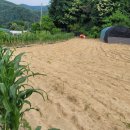 대발농장 이미지