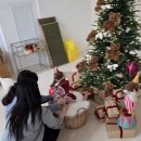 우진이네 | 화성시 동탄 메리베이비 100일 아기사진 – 우진이 크리스마스 촬영 후기🎄