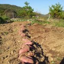 팔봉농장 이미지