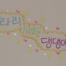 시츄언니 이미지