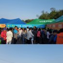 당진3동 이팝나무 이미지