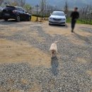 팜카페빨간머리앤 이미지