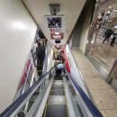 돈땡큐 | 🇯🇵 고베 산노미야 쇼핑 후기｜땡큐마트·세리야·다이소 다녀와본 솔직 후기