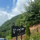 콩매아 | 충남 청양 맛집 대형카페 칠갑산 콩매아 방문 후기