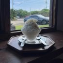 스스와 | 제주 여행 • 여름맛 빙수🍧 만첩 • 차한모금 • 스스