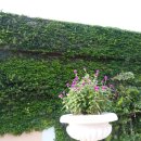 골드코스트 호텔 이미지