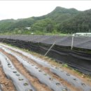 계촌보건진료소 이미지