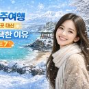 늘푸르름농장 | 겨울 제주여행 대기 많은 곳 대신 여기 선택한 이유 (베스트 7)