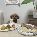 지연이네 강아지 고양이 수제간식 | 강아지수제간식 너한개나한개 강아지생일파티간식 후기