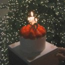 구현 농장 | 후지필름 X-T30 III 카메라 후기 (+ 사진에 대한 단상)